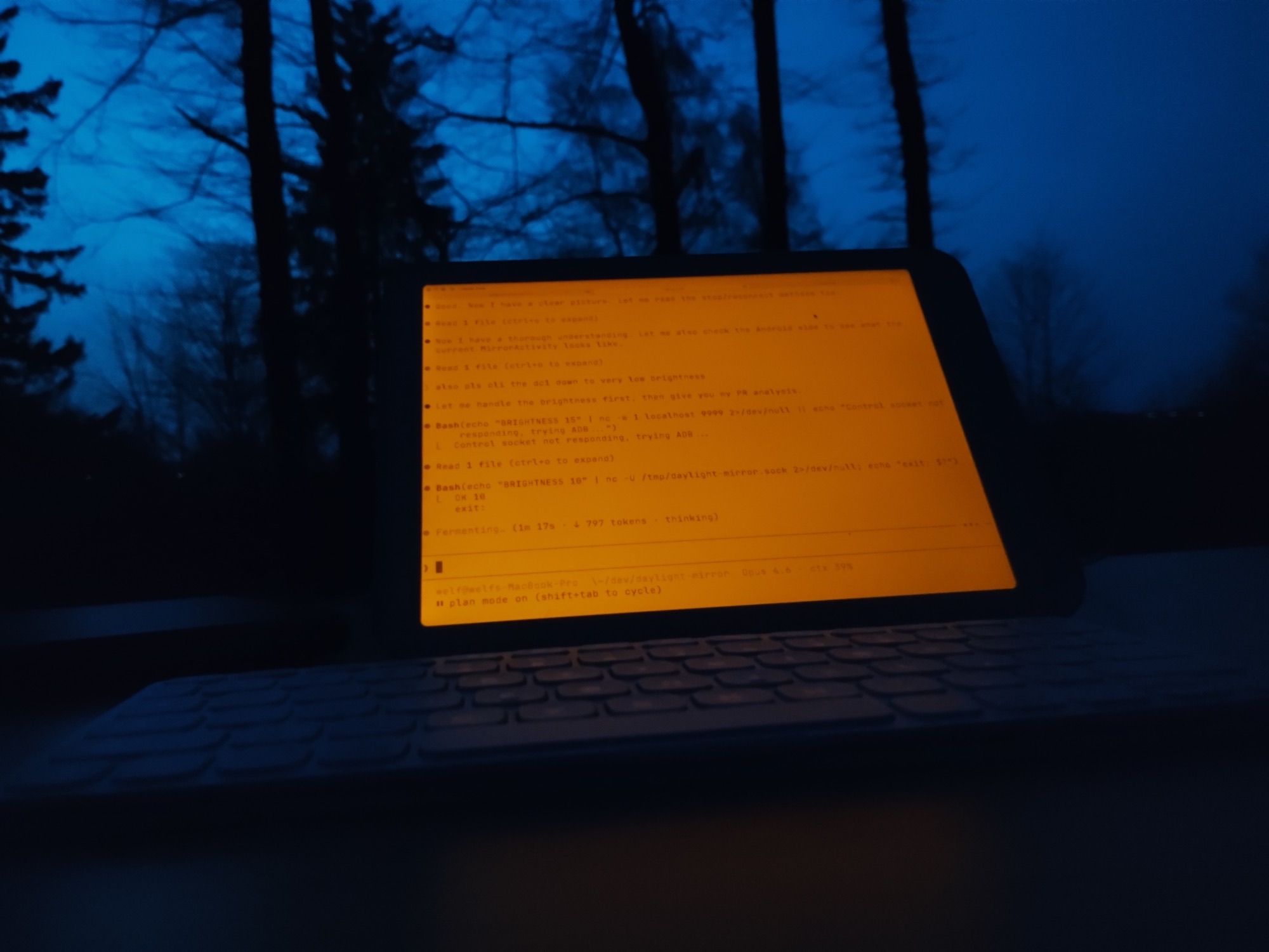 Amber screen glowing against blue hour sky and bare trees
