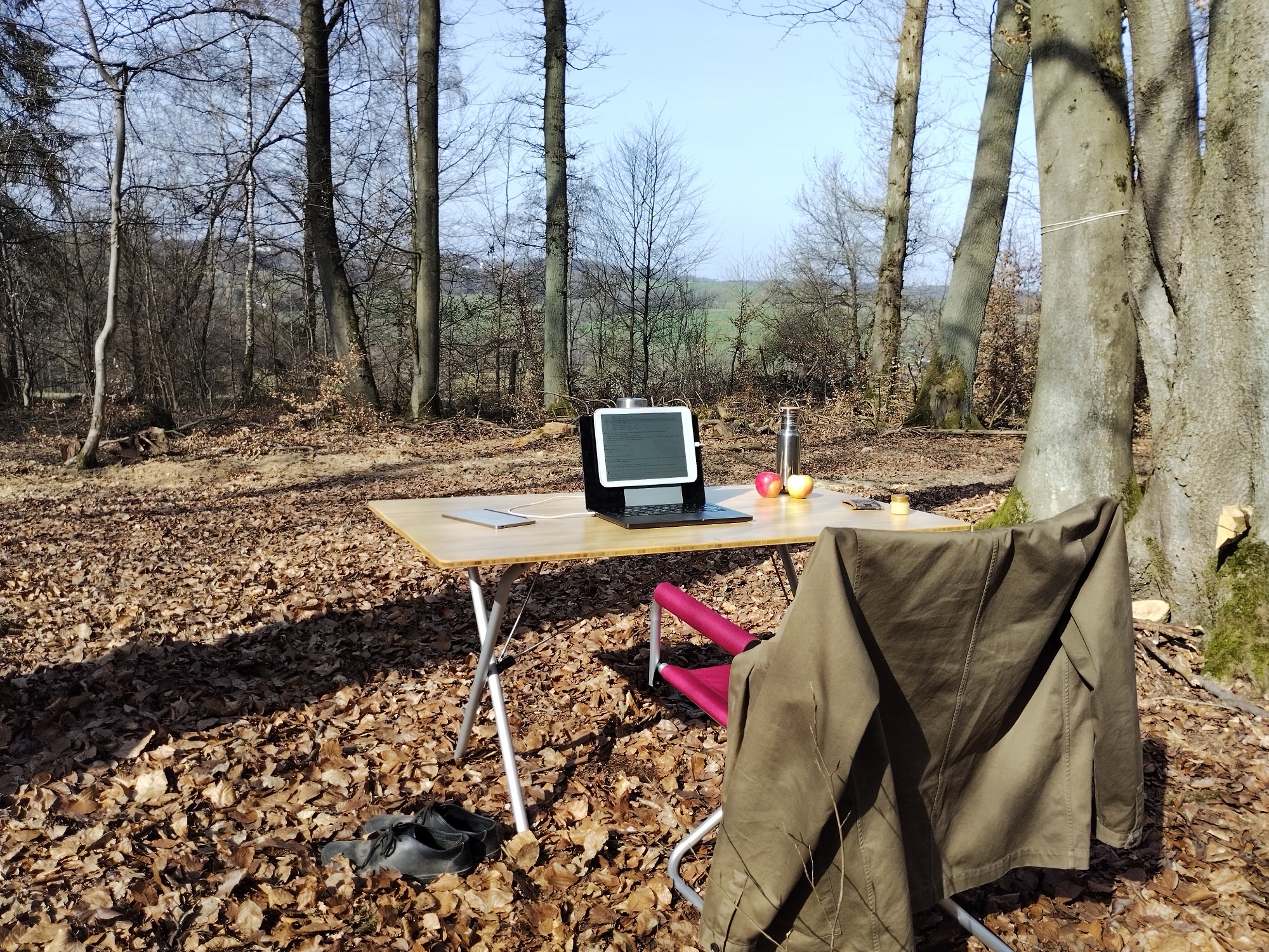 Full outdoor office in the Westerwald forest — MacBook, Daylight DC-1, bamboo table, apples, thermos